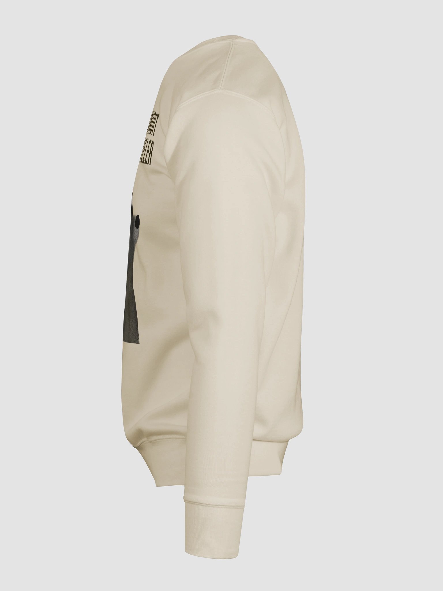 Trash Bandit Time Traveler - Premium Sweatshirt product image (6)