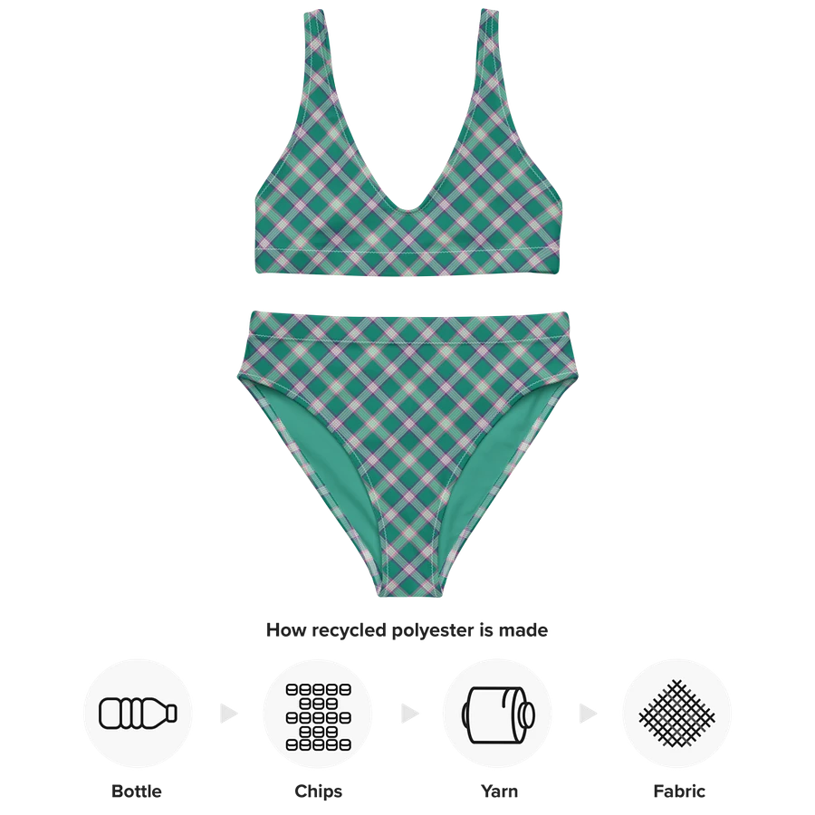Emerald Green and Purple Plaid Bikini product image (10)
