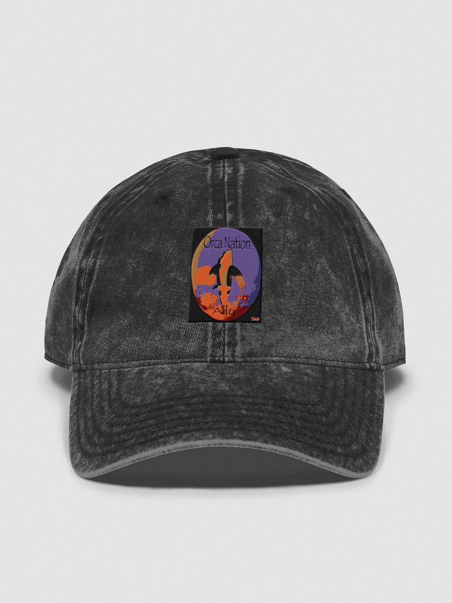 Orca Nation Ally Embroidered Cap product image (1)