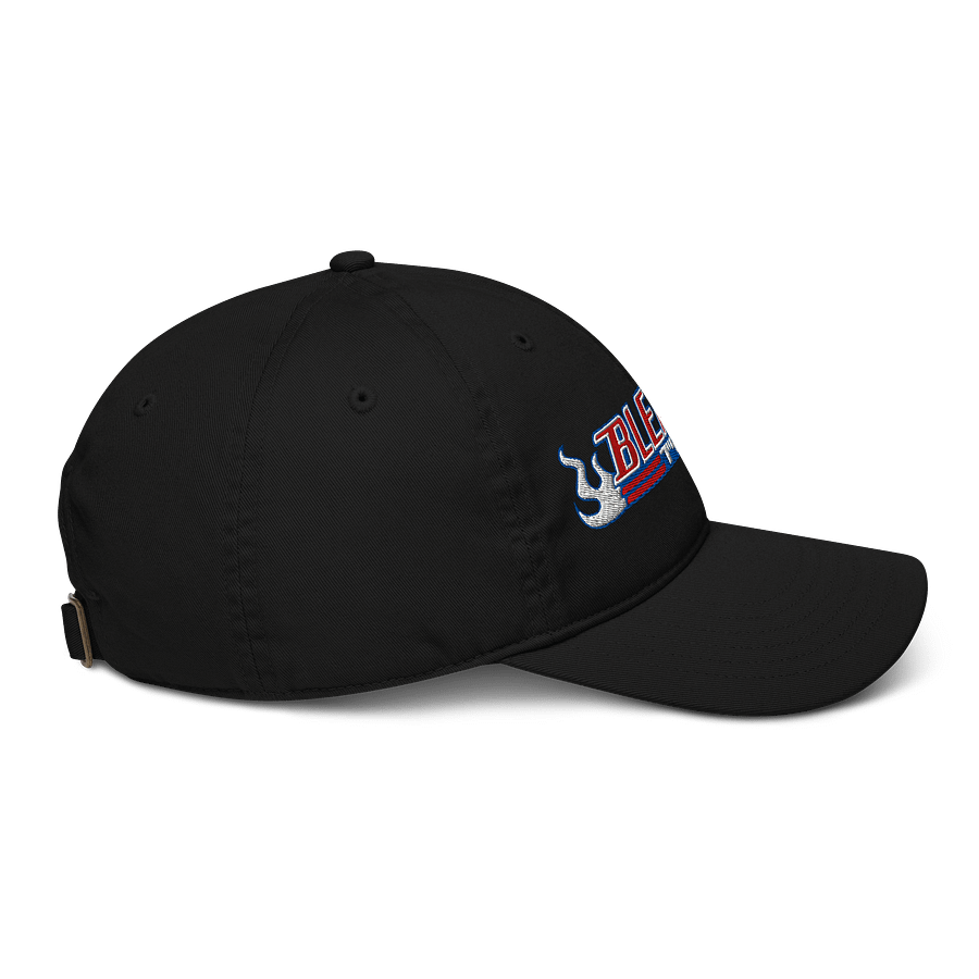 Bleach Flames Organic Dad Hat product image (5)