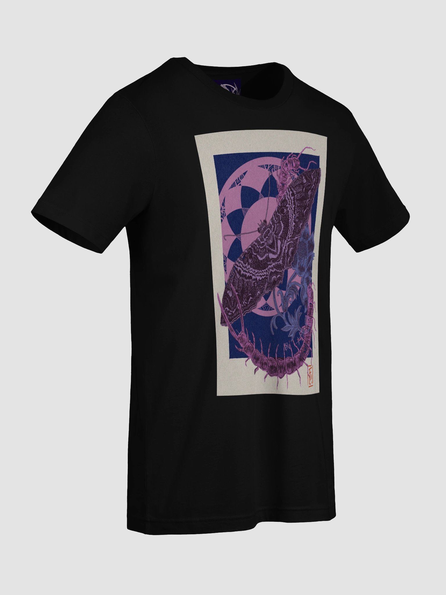 Polilla bruja y escolopendra product image (9)