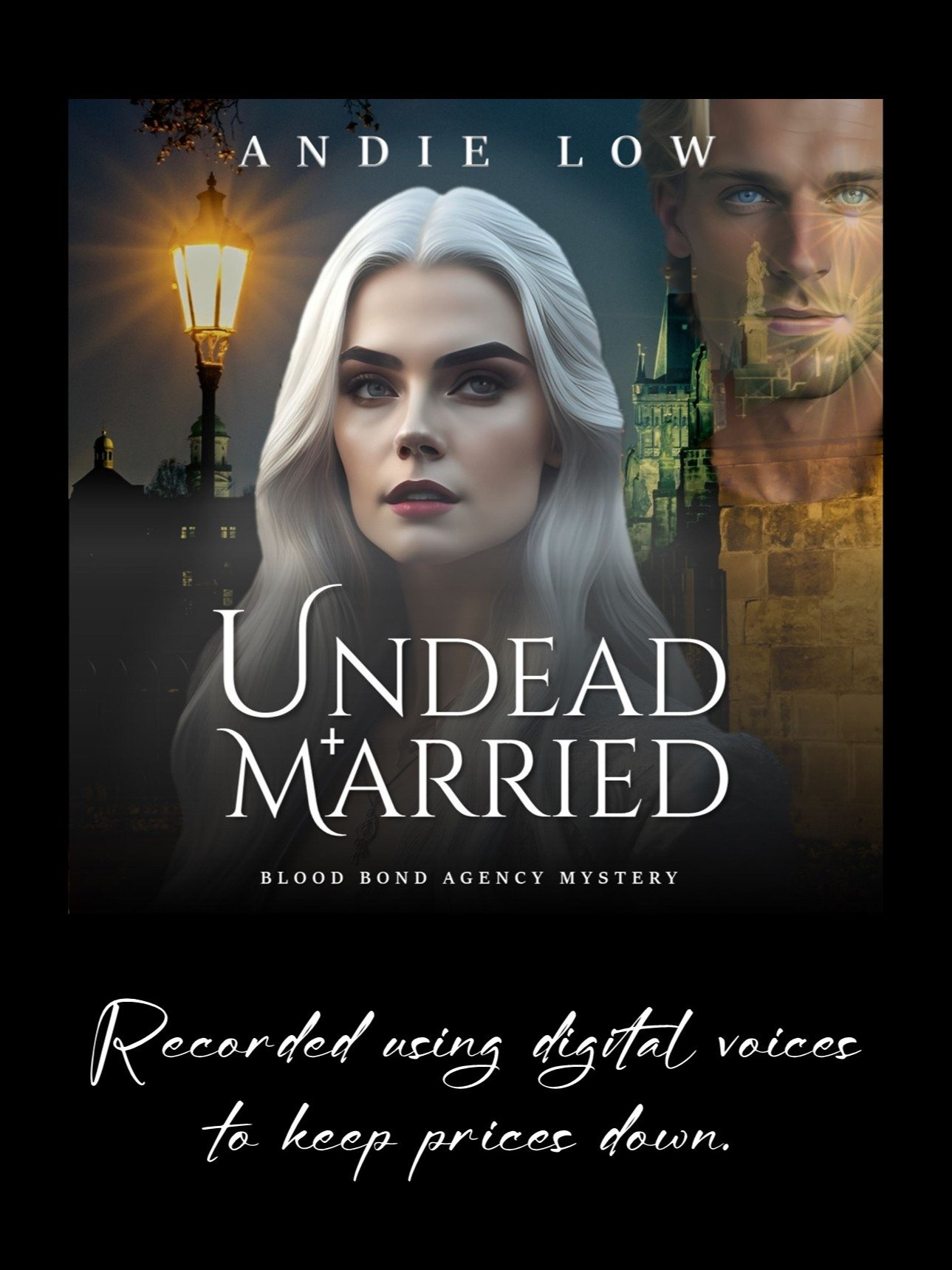 Undead and Married : AudioBook product image (1)