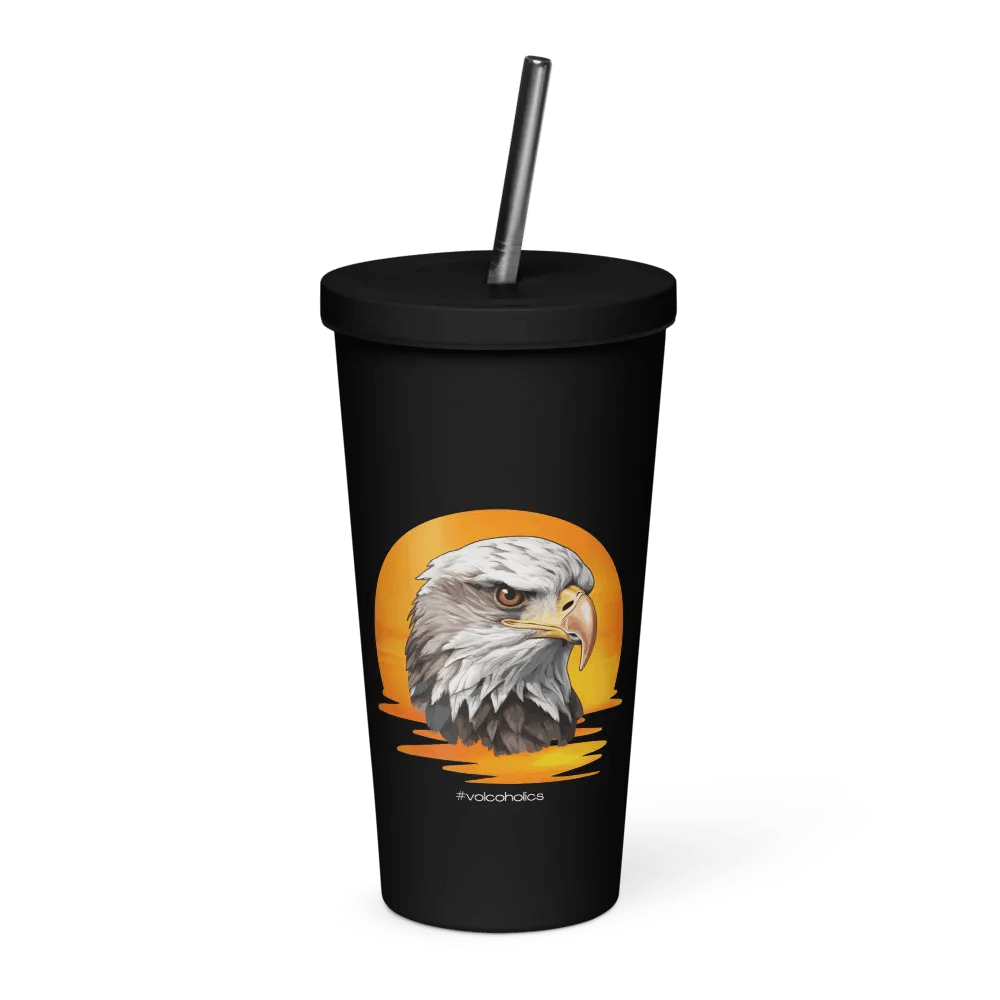 Sunset Eagle Insulated Tumbler product image (1)