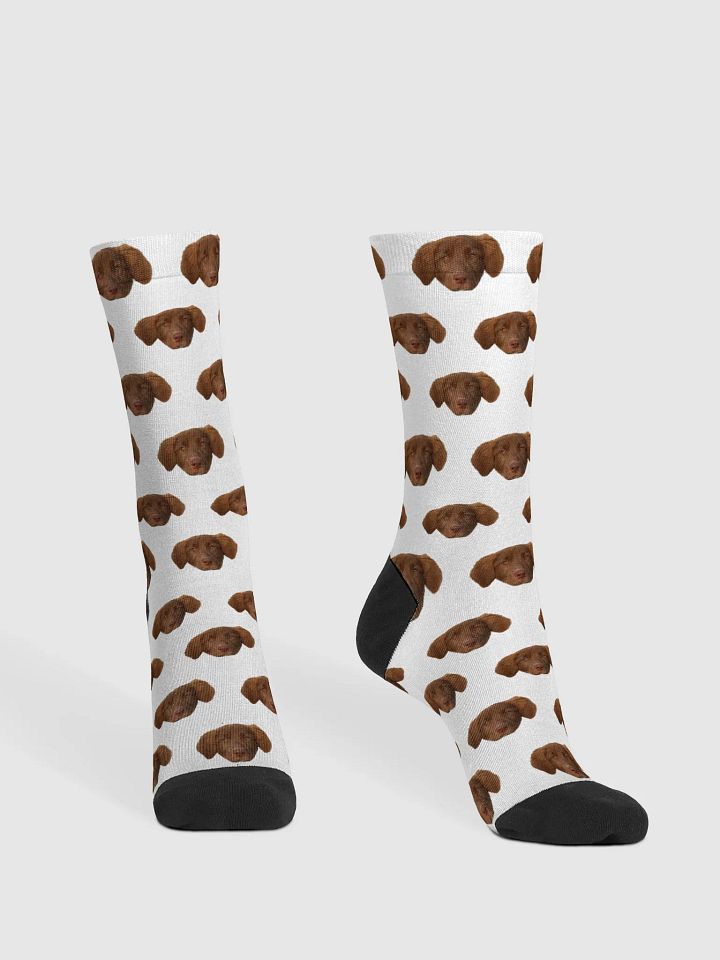 Nova Socks - White product image (2)