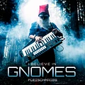 I Believe In Gnomes MP3 Download product image (1)