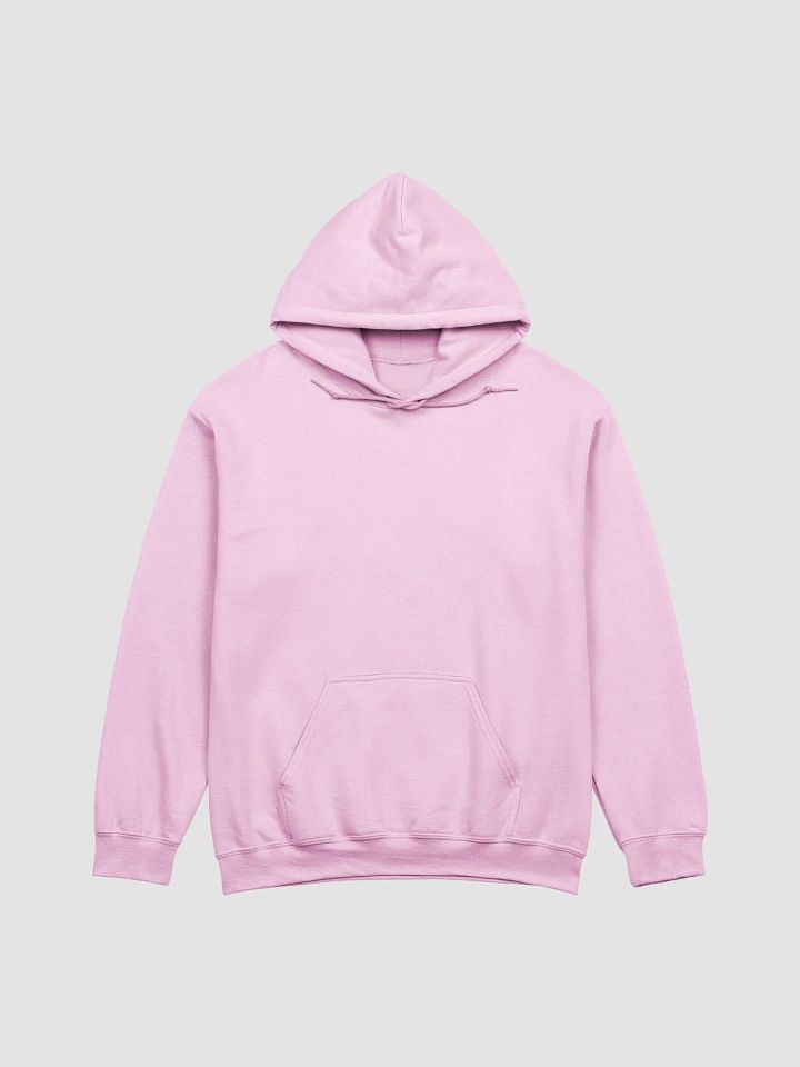 not the problem hoodie product image (1)