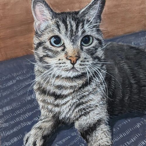 portrait of Tobias #pet #pastelpainting #pastelmat #catlover #petpainting #pastel #パステル画 #painting #art