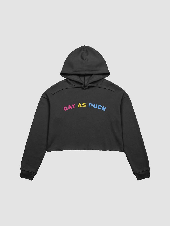 Gay As Duck Crop Hoodie - Pan product image (1)
