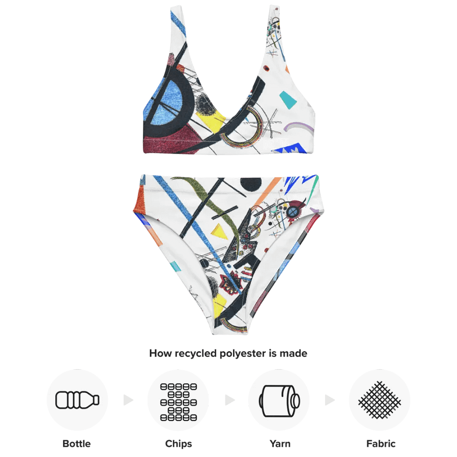 Abstract Lithographic Pattern Design High Waisted Bikini - V2 product image (3)