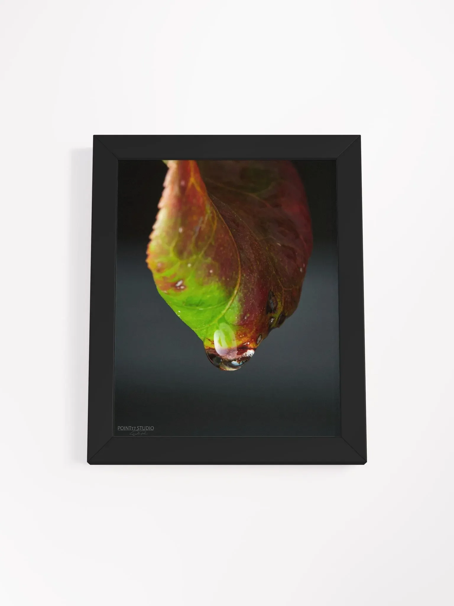 Crystal Drop - Framed Poster product image (4)