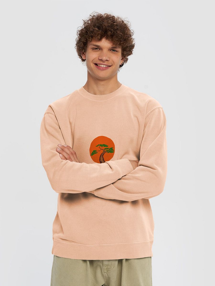 Vintage Vibes Unisex Pigment Dyed Sweatshirt product image (3)