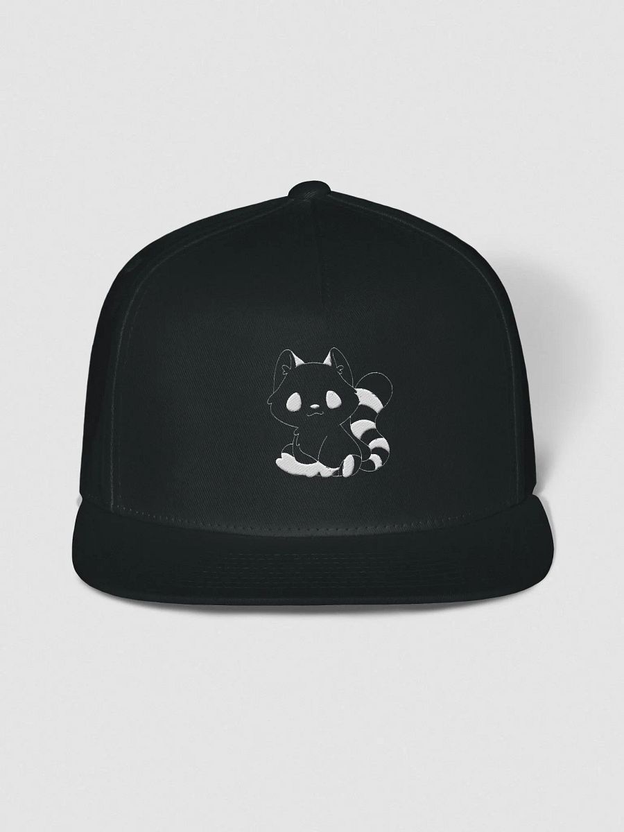 Snapback product image (1)