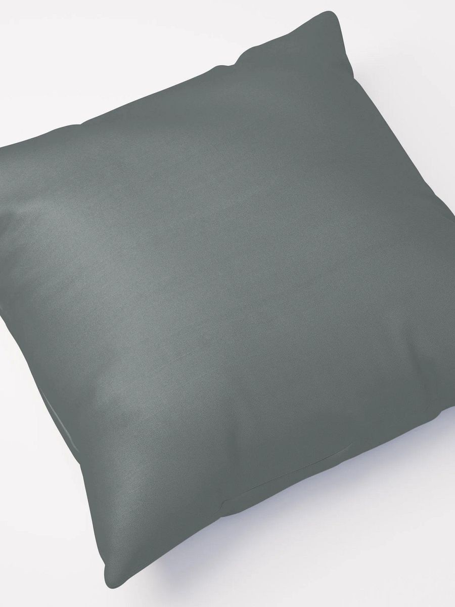 What's In His Head? Pillow product image (5)