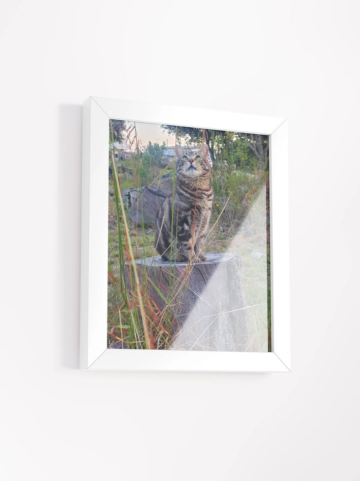 A Cat Named Purrsie Framed Matte Poster product image (4)