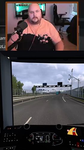 Wat de... #twitchclips #ets2 #truckersmp