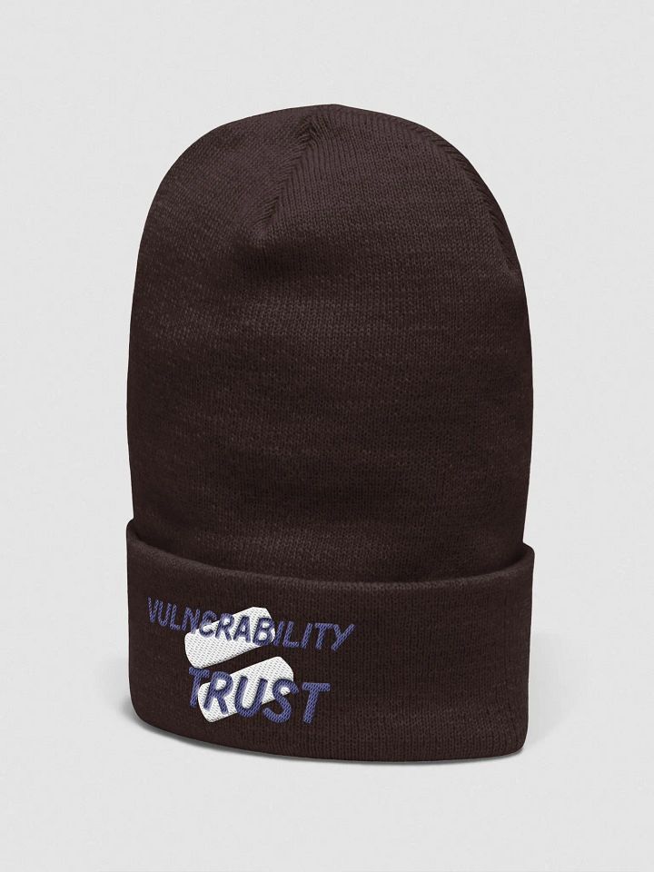 Vulnerability Skullee product image (10)