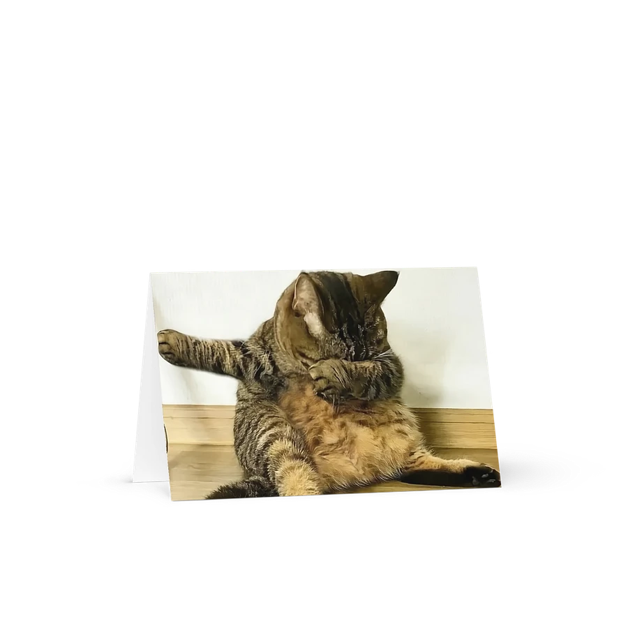 Greeting Card: Meme Cats product image (19)