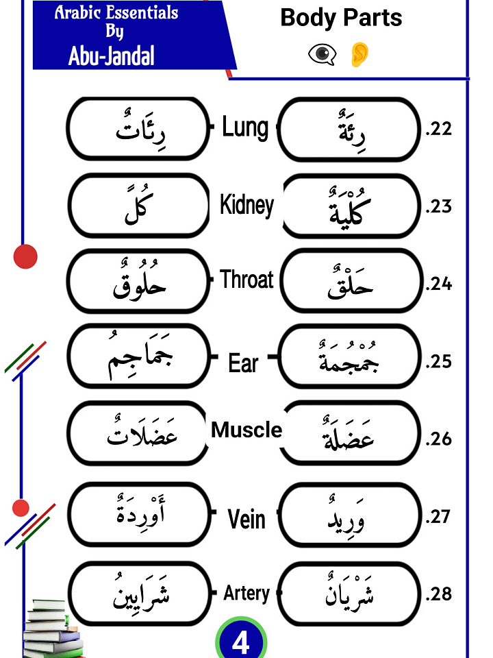1000 Arabic Words and Plurals product image (2)