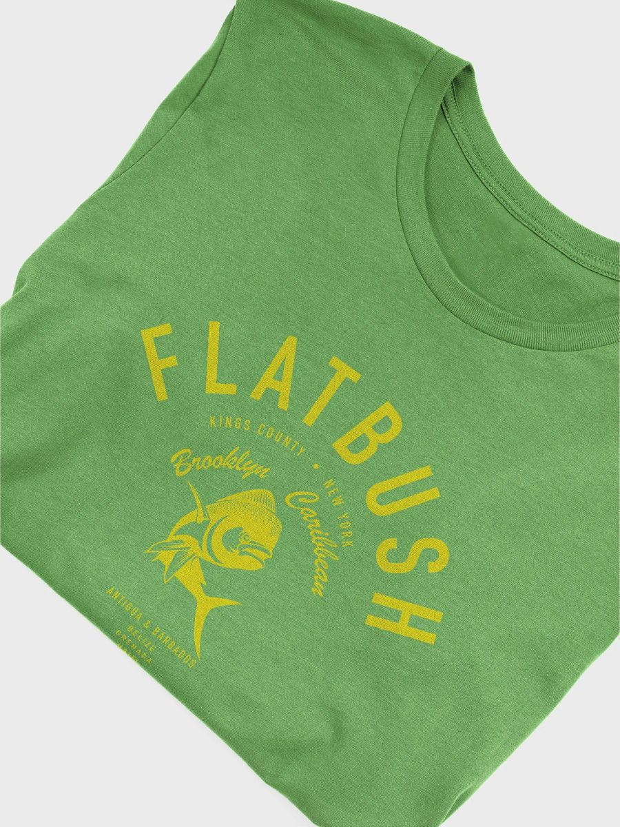 Flatbush Brooklyn Caribbean Jason product image (5)