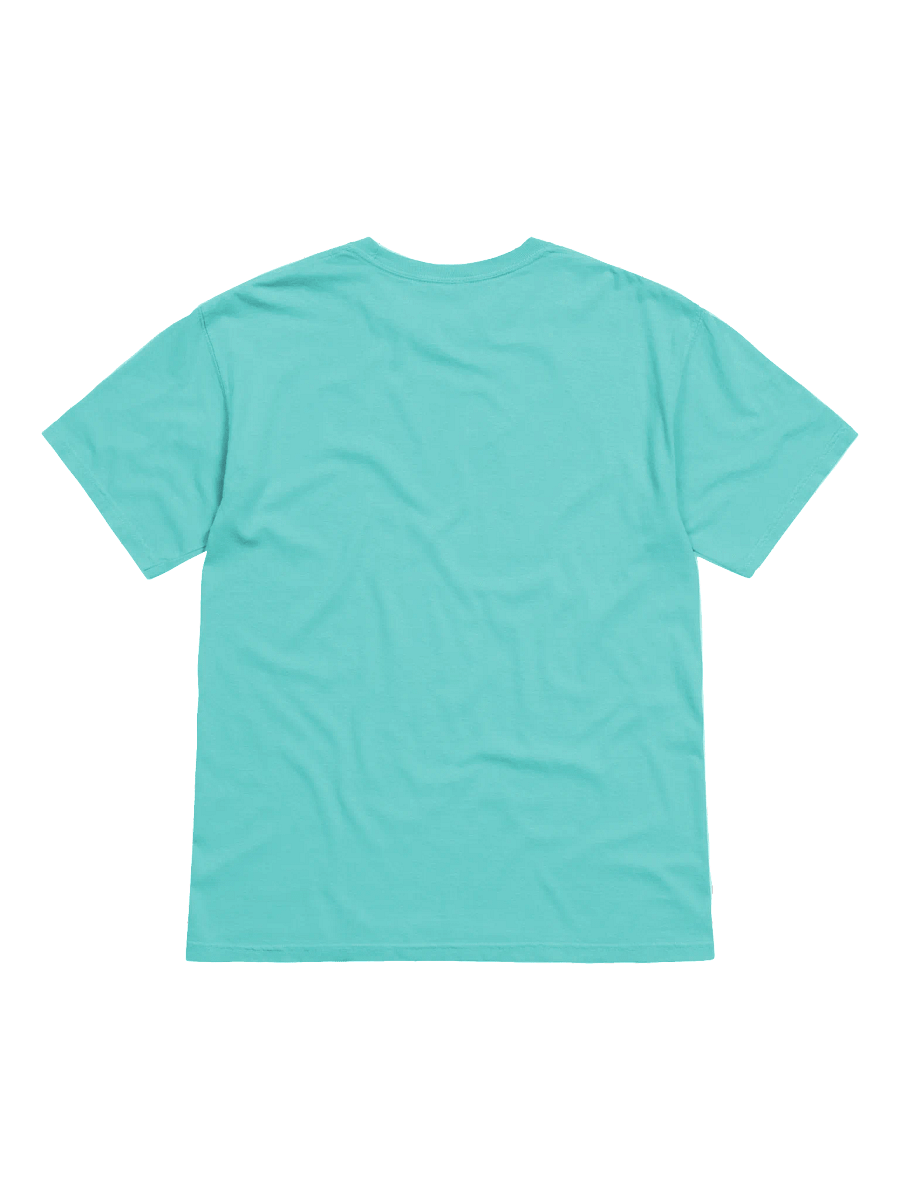 Aqua Team logo shirt product image (2)