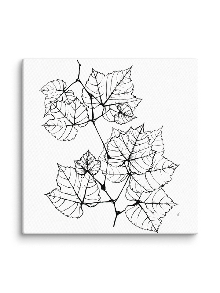 Blank Canvas: Unleash Your Artistic Vision - Grape Leaves Elegant product image (2)