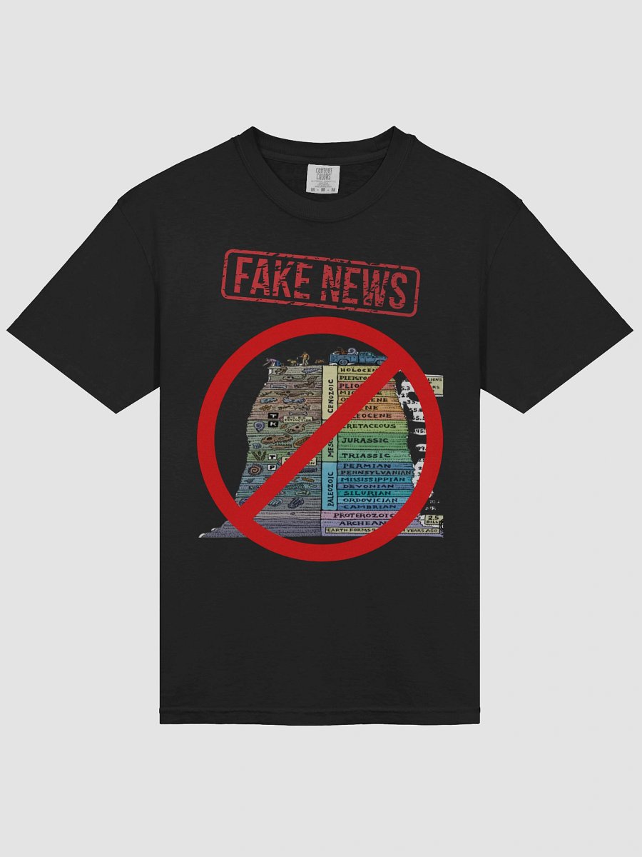 FAKE NEWS product image (6)