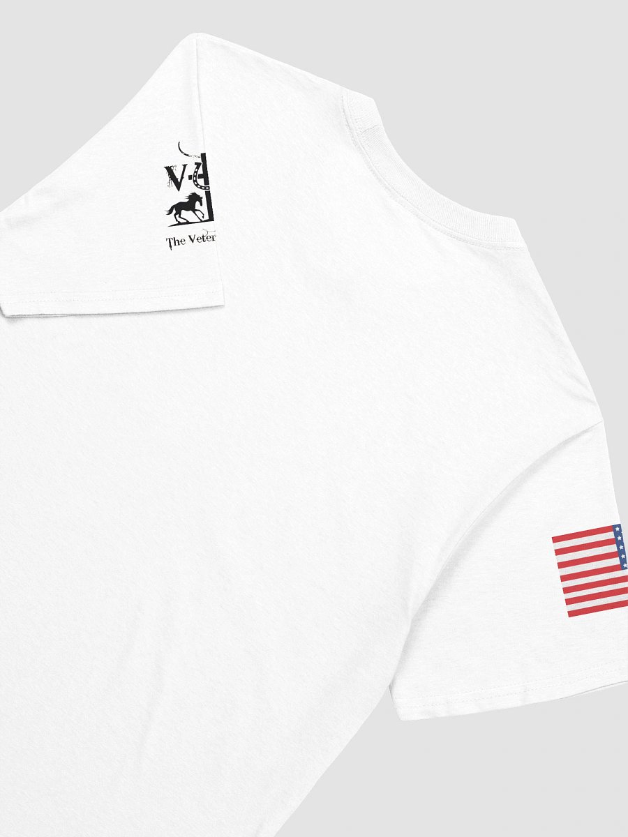 God Bless Texas product image (9)