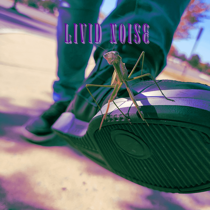 Livid Noise (Digital album) product image (1)