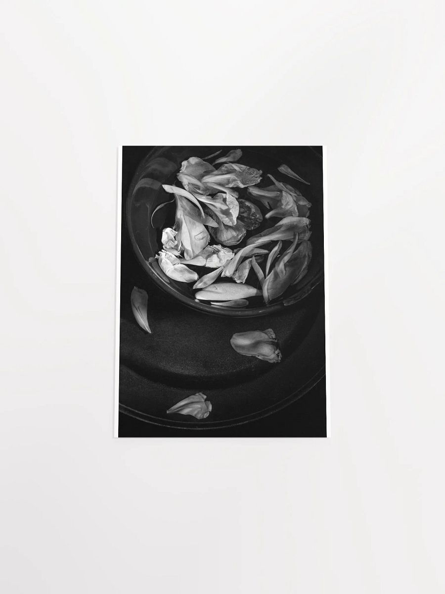 Floating Petals - Print product image (5)