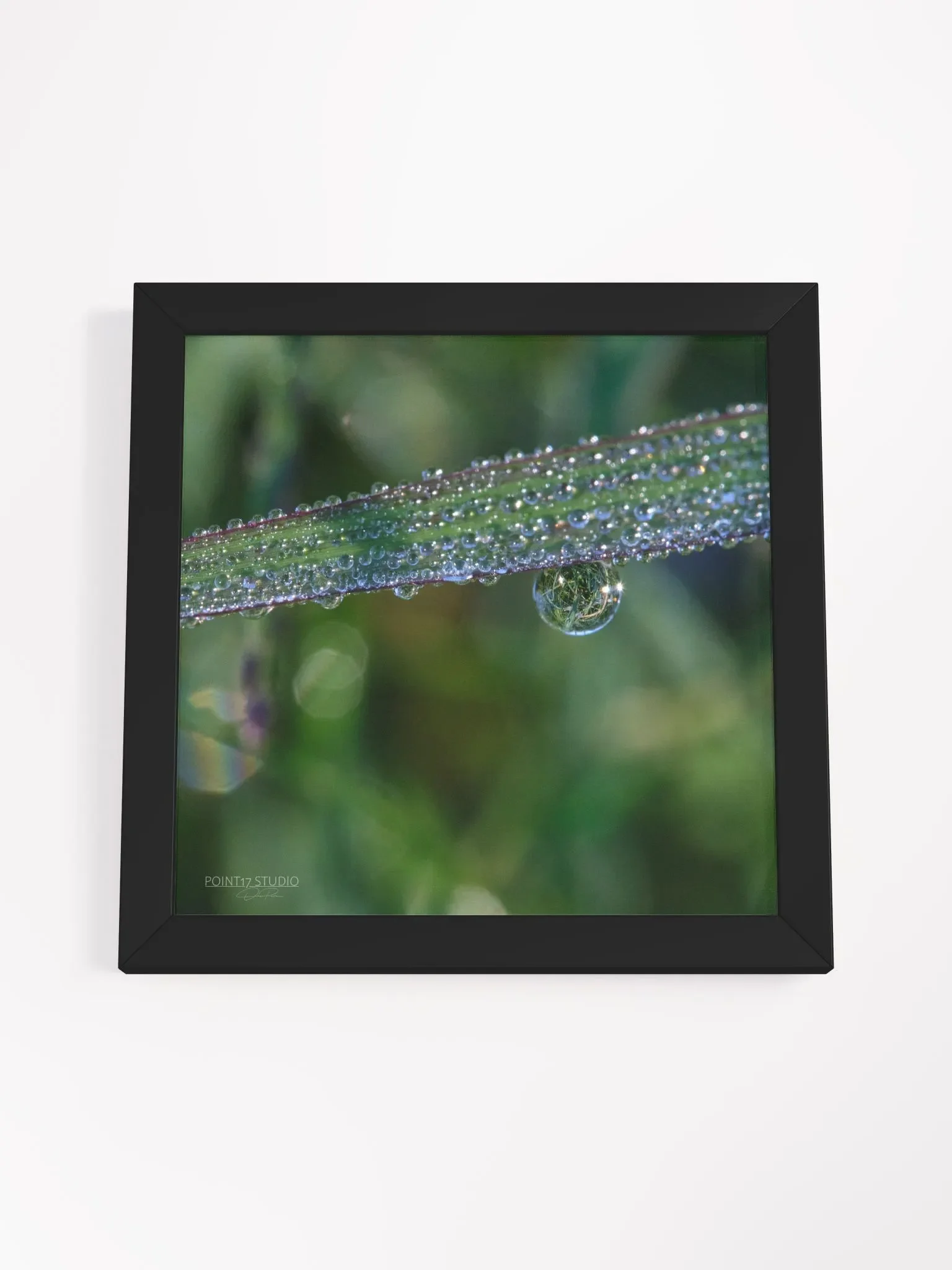 Dew Gems #3 - Framed Print product image (4)