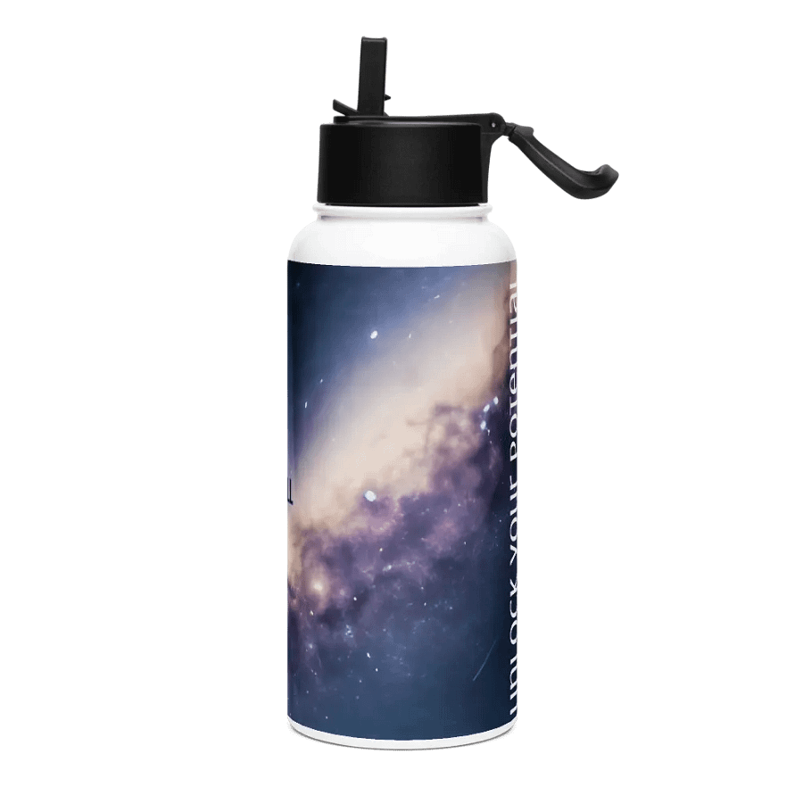 DO IT ALL Stainless Steel Water Bottle with Straw Lid product image (3)