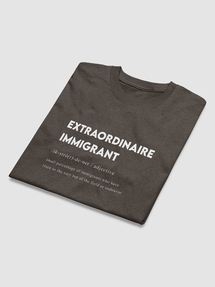 EXTRAORDINAIRE IMMIGRANT TSHIRT DARK CHOCOLATE product image (4)