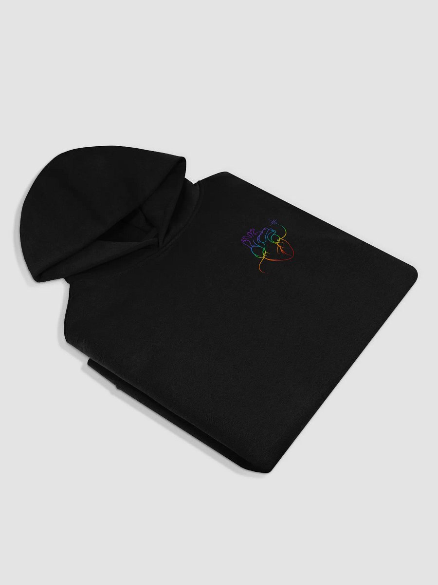 Take Pride Hoodie product image (3)