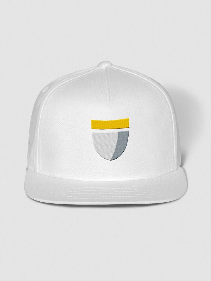 Embroidered Flat Snapback - Disc Golf Basket product image (1)