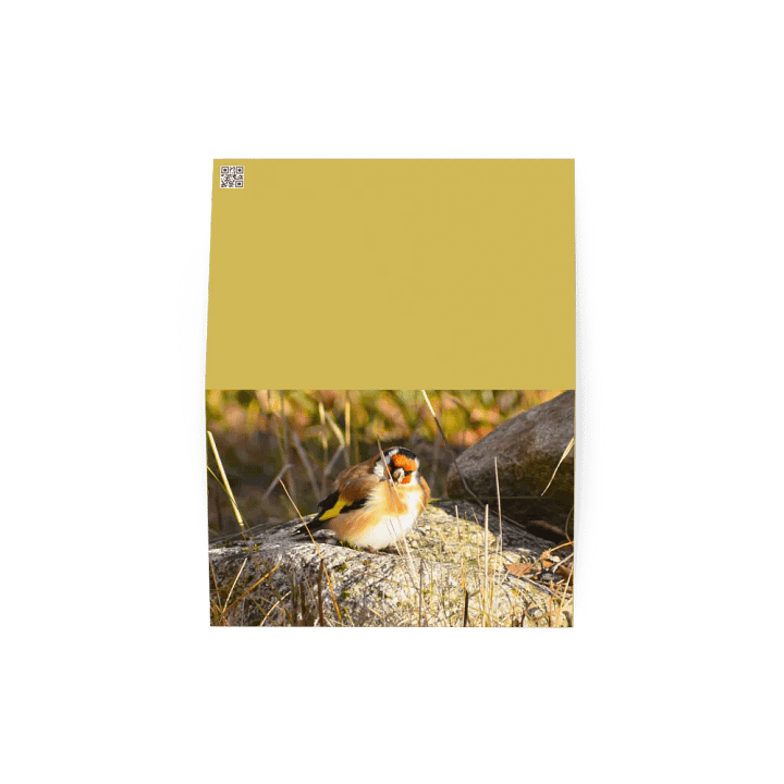 Greeting Card: Steglits / Goldfinch on stone product image (2)