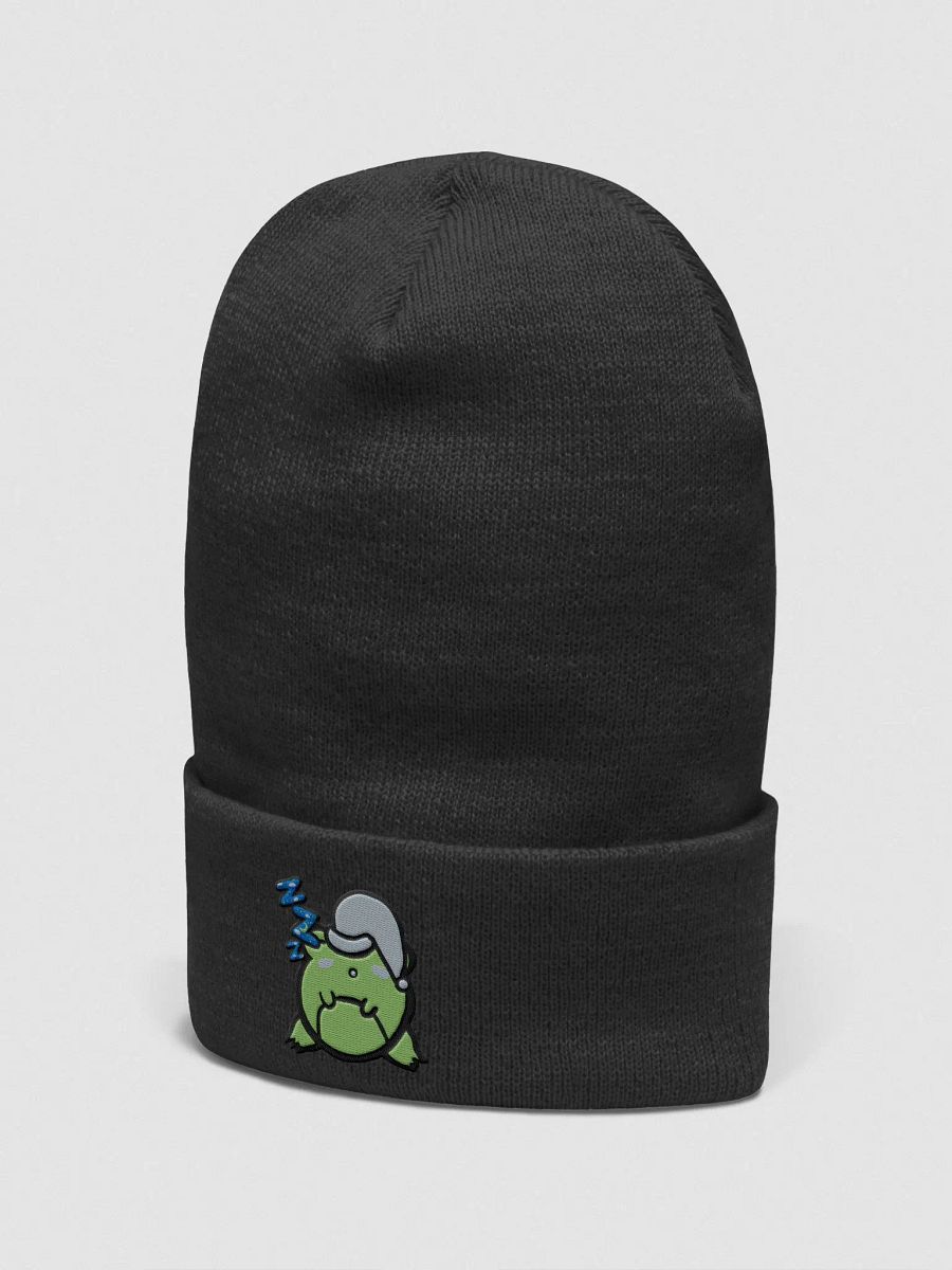 Sleepy Frog Z's product image (2)