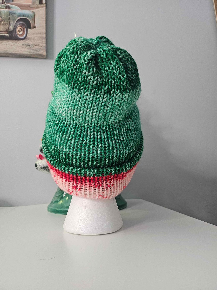 Juniper Shrub/Peppermint Ribbon Winter Hat product image (3)
