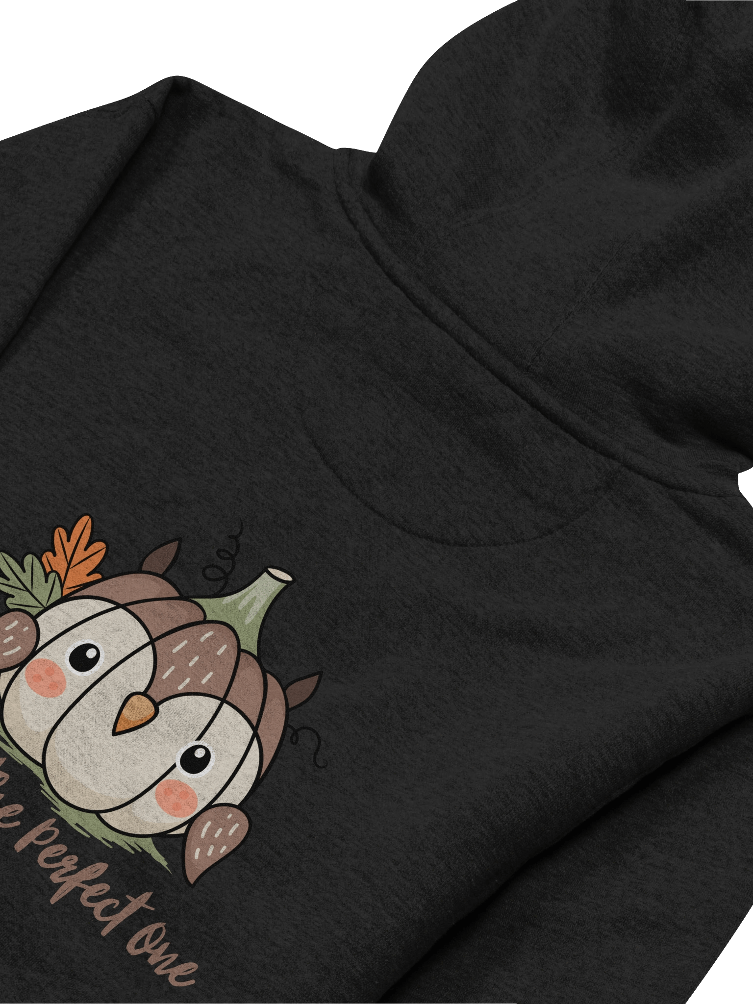 Picking the Perfect One Pumpkin Hoodie product image (39)