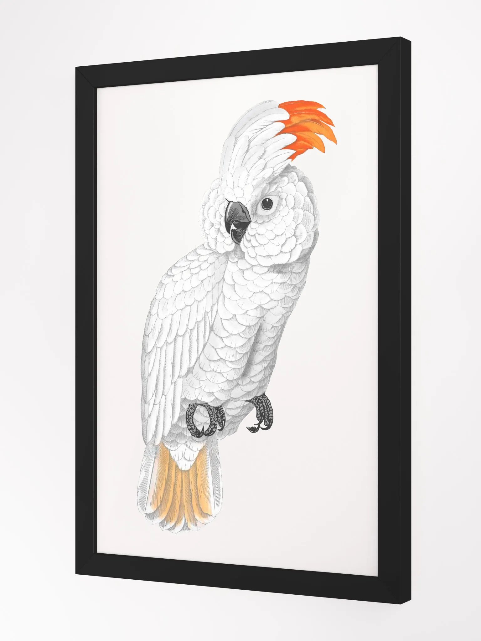 Ecotone Parrot Print Framed Art product image (2)