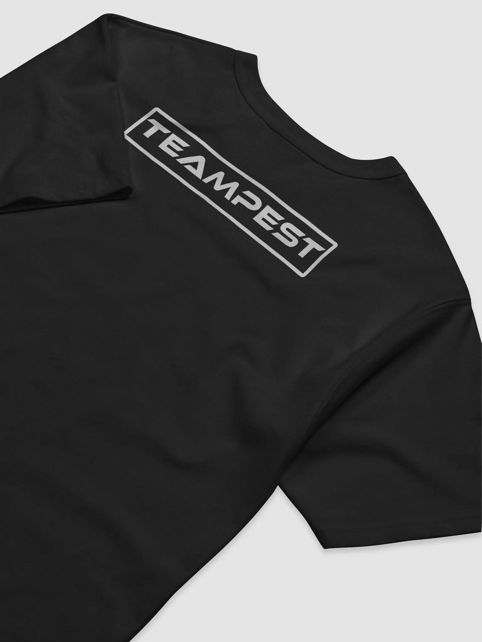 TeamPEST X Champion Relaxed-fit T-Shirt product image (8)
