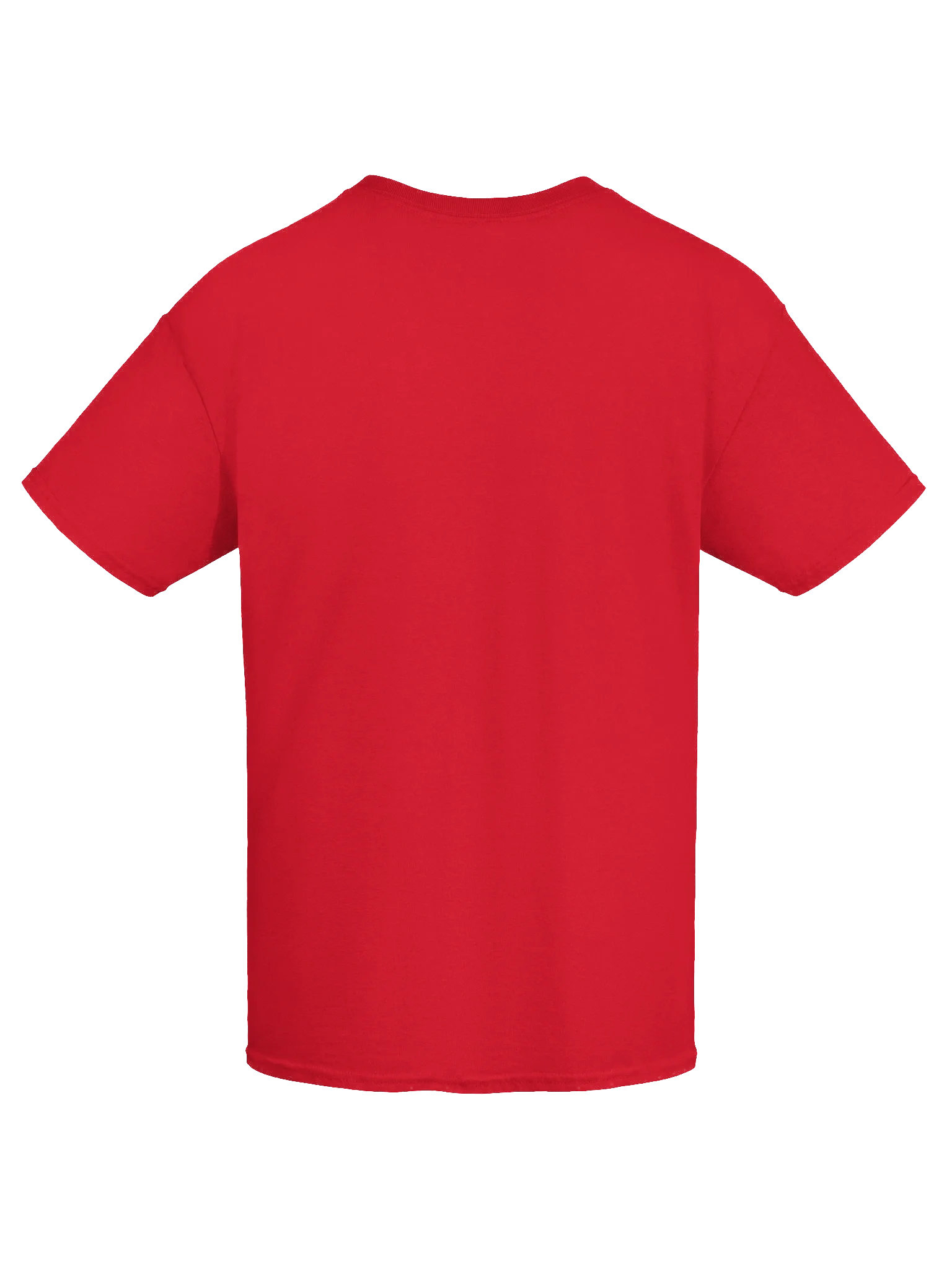 Winged Hussar World Tour product image (18)