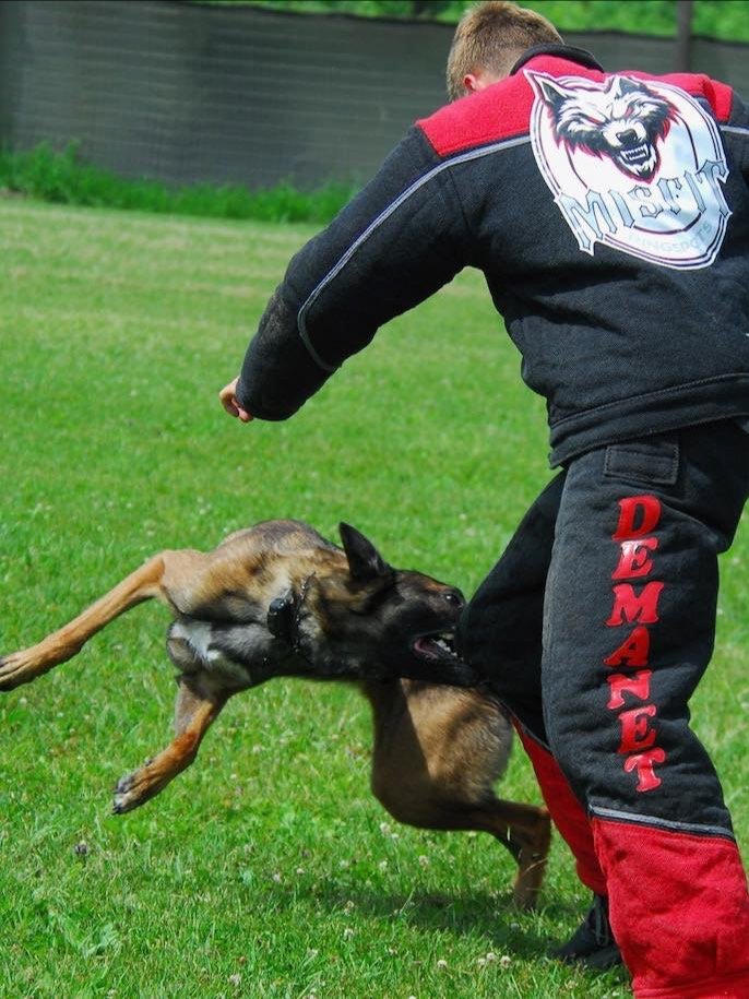 NOBODY CARES, TRAIN HARDER - PREMIUM ADULT UNISEX T-SHIRT product image (12)