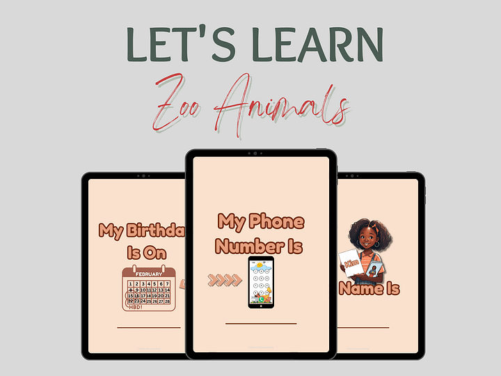 My Personal Information Flashcards product image (2)