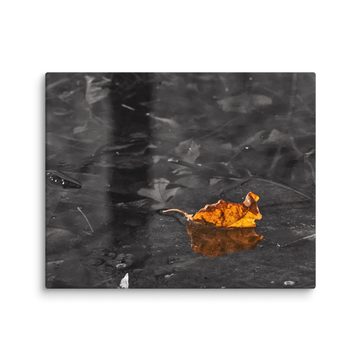 Prisoner of the ice (Canvas) product image (1)