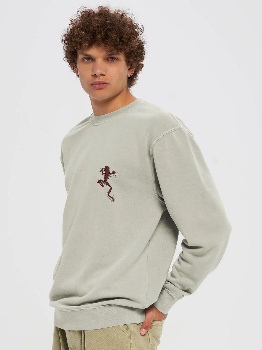 Inspirational frog crewneck product image (26)