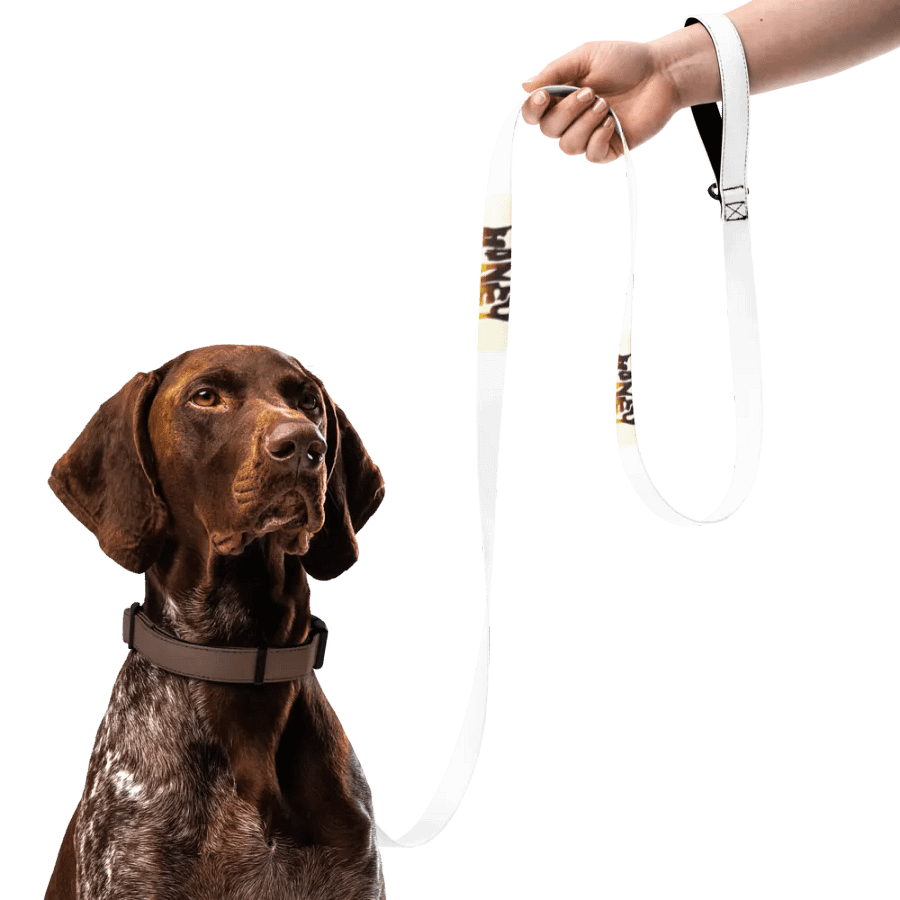 Honey (Pet Leash) product image (7)