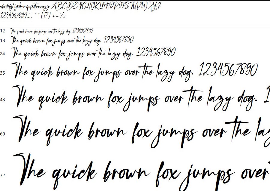 Black Bone | Signature Font product image (2)