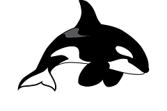 Balena Productions Store