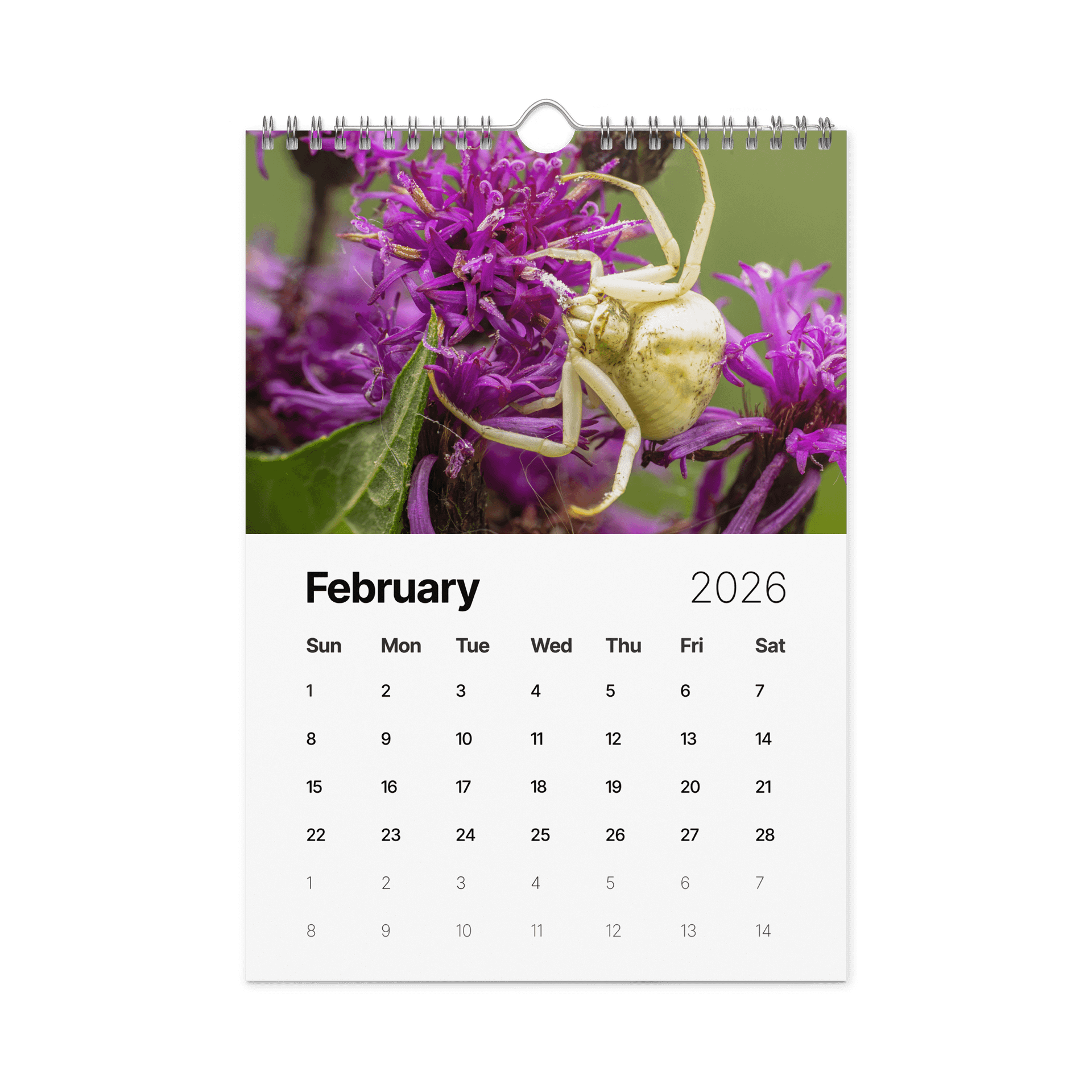 2026 Garden Bugs product image (3)