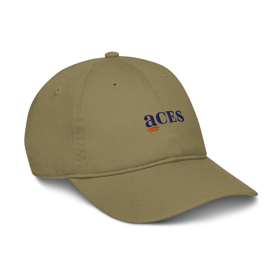 ACES mark classic dad hat product image (6)